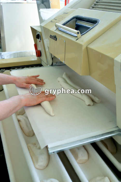 Fabrication du pain - Façonnage mécanique des pâtons - gryphea.com